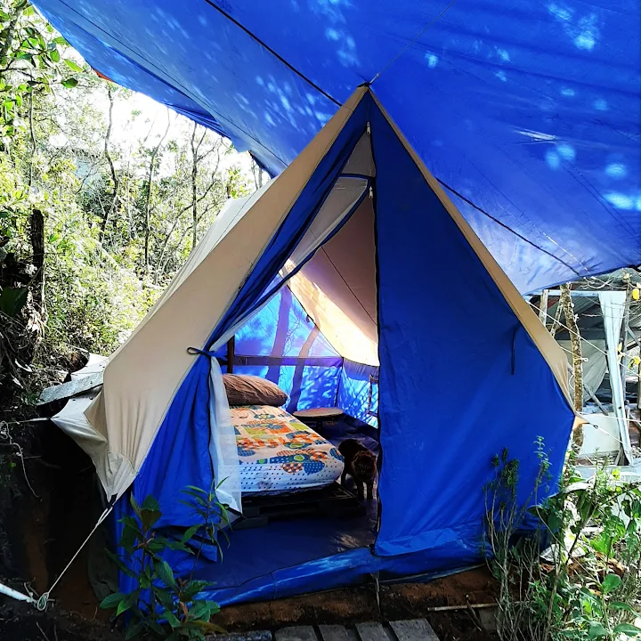 Carpa de glamping con cama tendida en medio del bosque de Santa Elena
