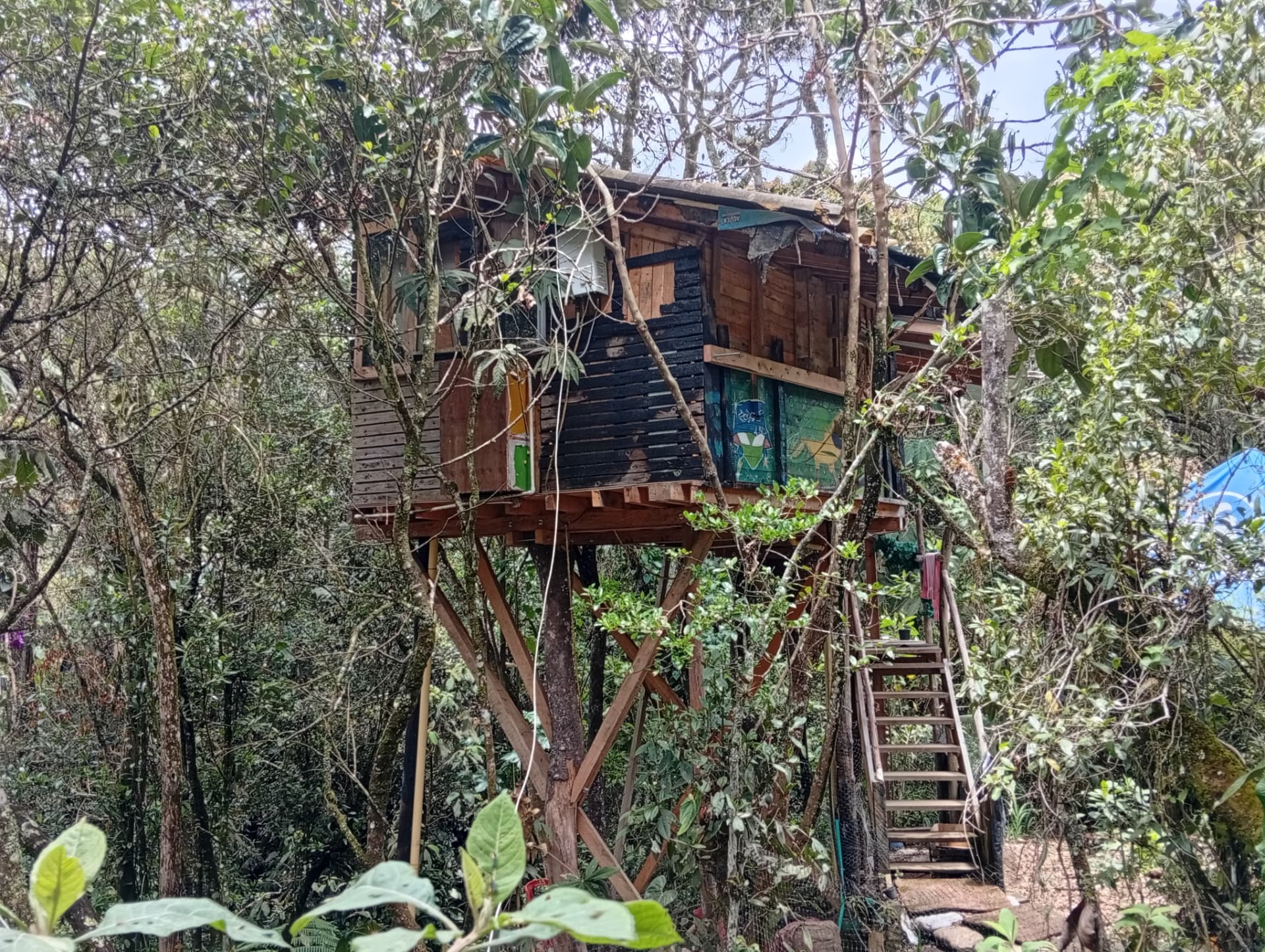Casa en el árbol de madera entre los árboles de la granja